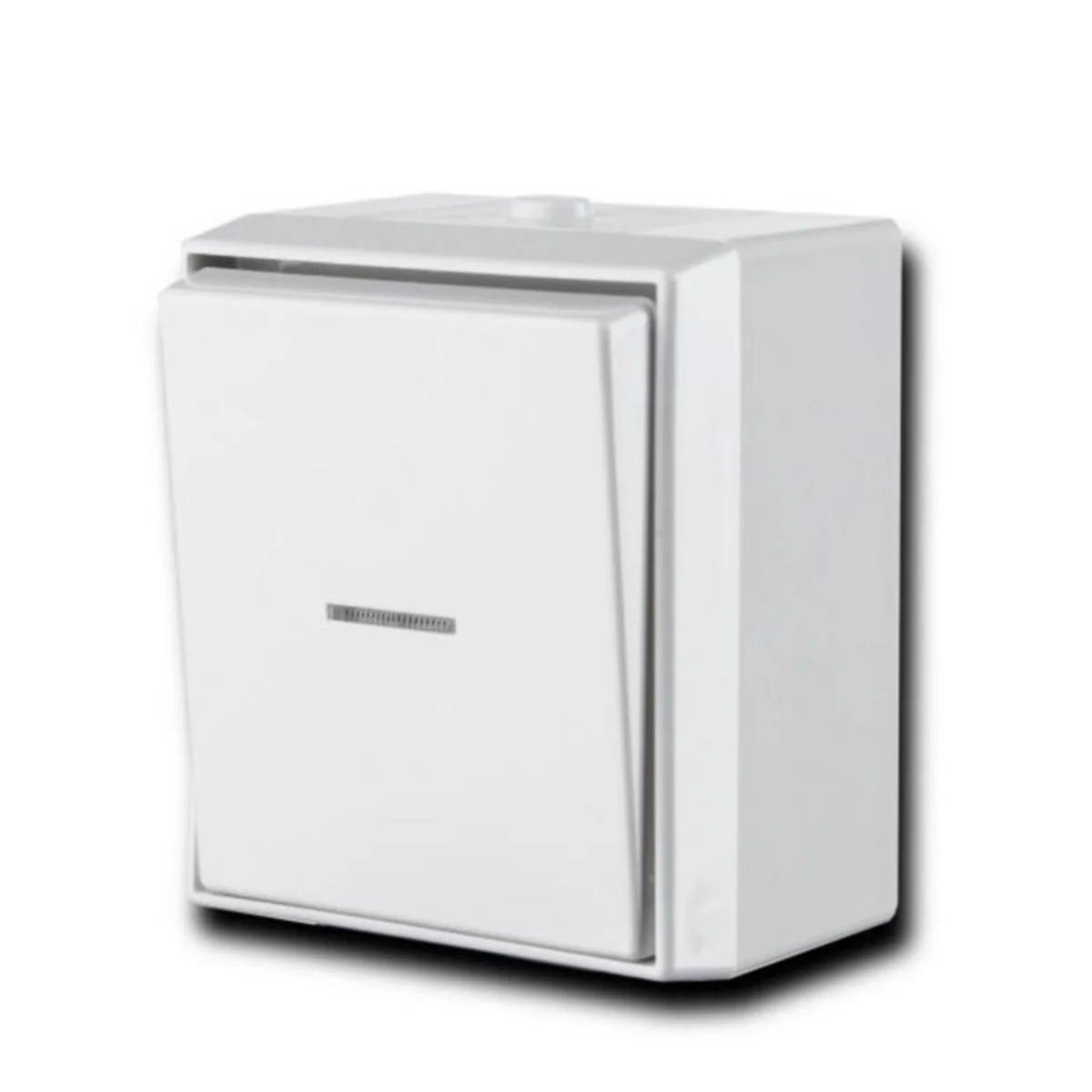 Kytkin Ensto Intro 5, 6 Pinta IP44