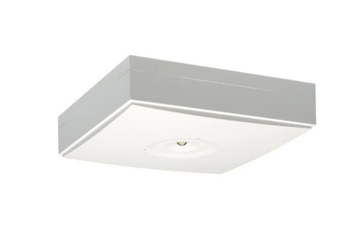 Turvavalaisin Teknoware Zonesp Ii Twt9252Wm 230V 1H Yp