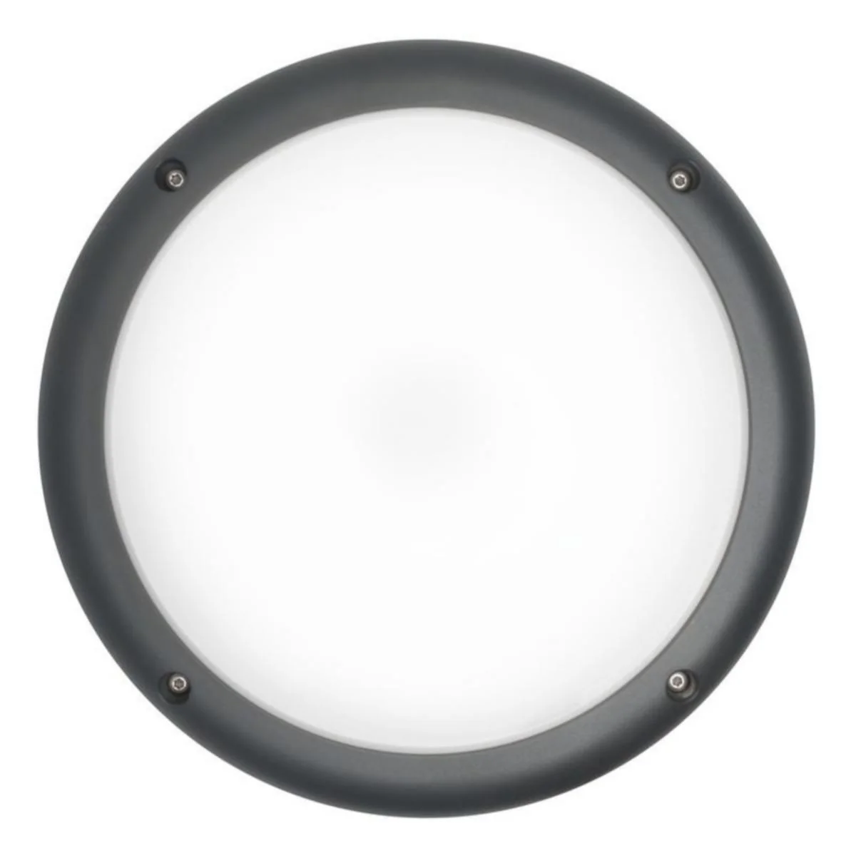 Seinä/Kattoval Ulko Cestus R Ip65 Ik10 20W/840 Pco Ant
