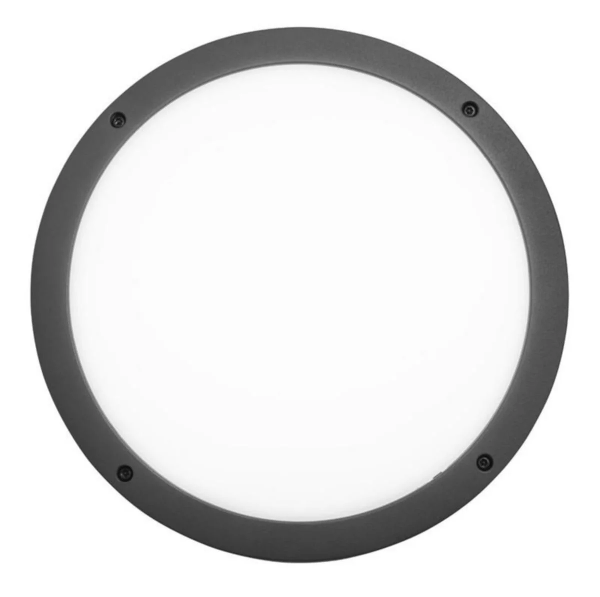 Seinä/Kattoval Ulko Halo Ip65 14W 830/840 Pco Ant