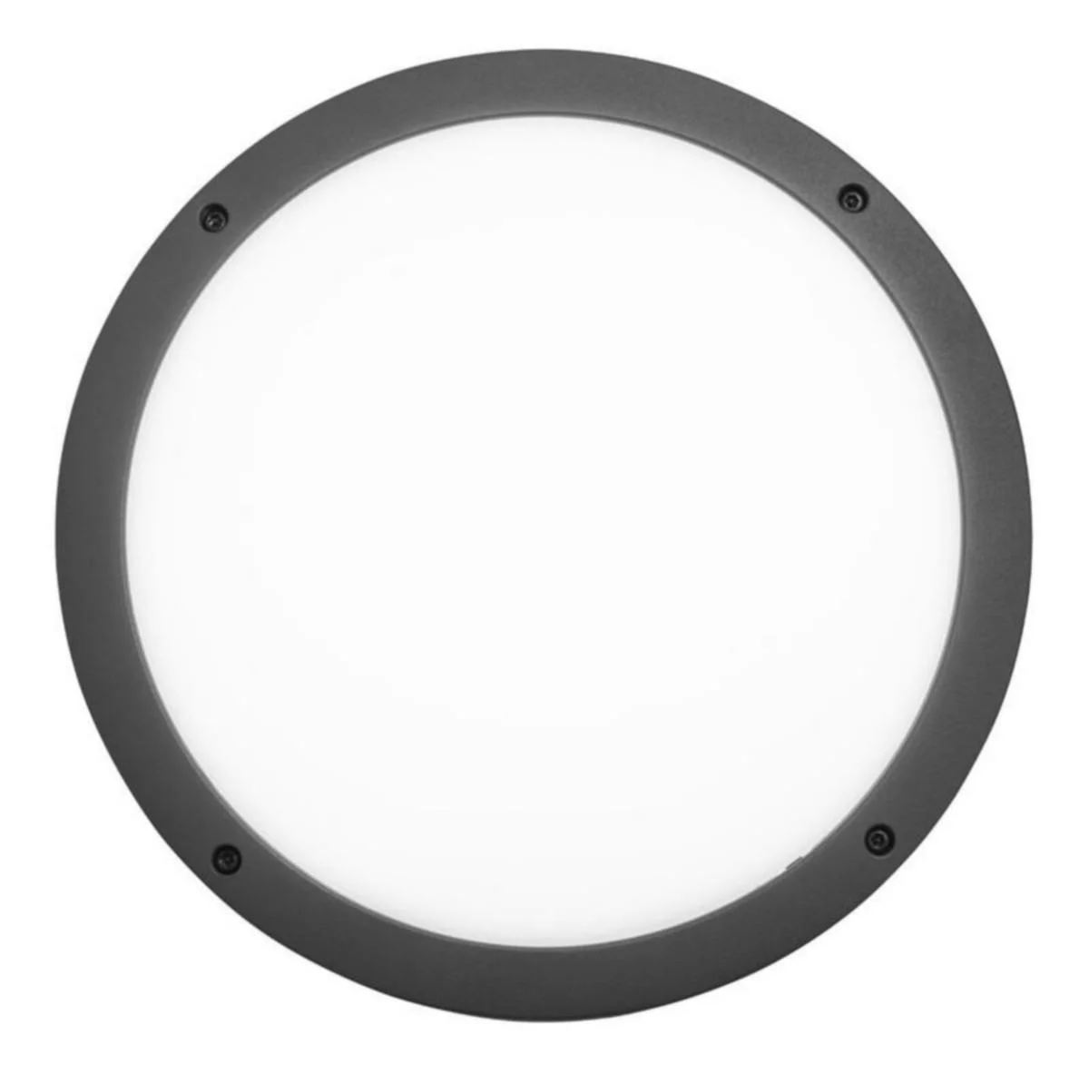 Seinä/Kattoval Ulko Halo Eye Ip65 14W 830/840 Pco Ant