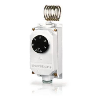 Huonetermostaatt Fantini Cosmi C10B2Y -20...+60C Ip65