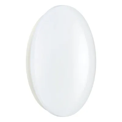 Yleisvalaisin Philips Ledinaire WL060V