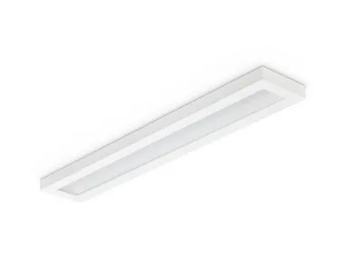 Pinta-asennusvalaisin Philips Ledinaire Surface